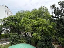 Blk 176 Boon Lay Green (Jurong West), HDB 3 Rooms #568582971